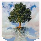 The Tree of Life bestows His Blessings on People.  He is the Proprietor!